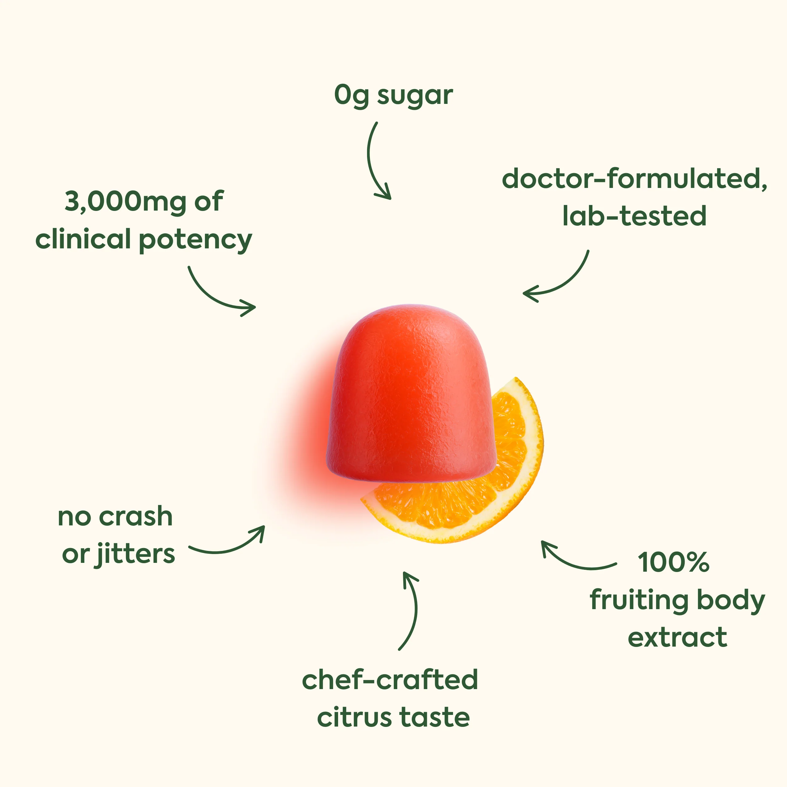 WonderFocus Mushroom Gummies: 5-Day Trial - Image 3